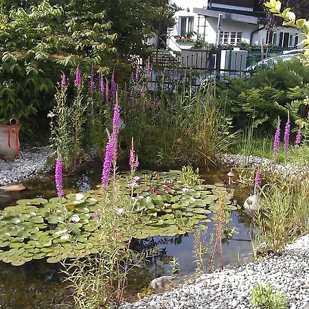 Отель Rosenvilla