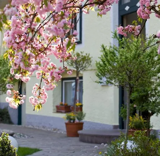 Rosenvilla Salzburg